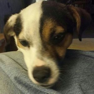 Meet your Posher, Glenna